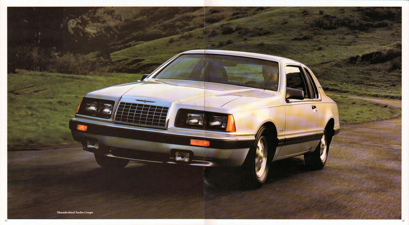 n_1983 Ford Thunderbird (005-Ann)-14-15.jpg